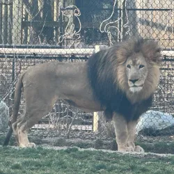 Potawatomi Zoo - South Bend