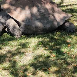 Potawatomi Zoo - South Bend