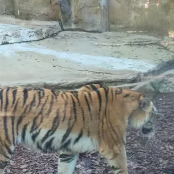 Potawatomi Zoo - South Bend