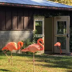 Potawatomi Zoo - South Bend