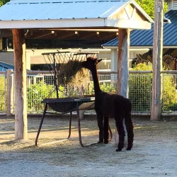 Potawatomi Zoo - South Bend