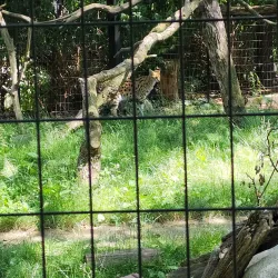 Potawatomi Zoo - South Bend