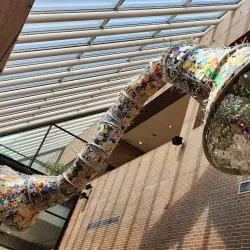 South Bend Museum of Art - South Bend