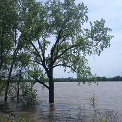 Tell City Riverfront Park - Tell City