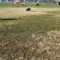 Tell City Skate Park - Tell City