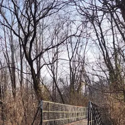 Wabashiki Fish and Wildlife Area - Terre Haute