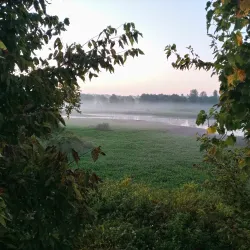 Wabashiki Fish and Wildlife Area - Terre Haute