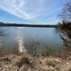 Wabashiki Fish and Wildlife Area - Terre Haute