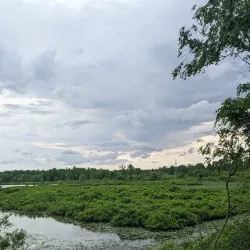 Wabashiki Fish and Wildlife Area - Terre Haute