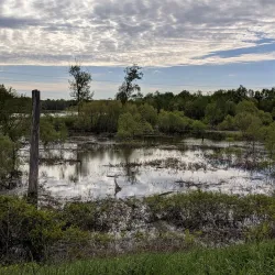 Wabashiki Fish and Wildlife Area - Terre Haute