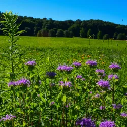 Sunset Hill Farm Park - Valparaiso