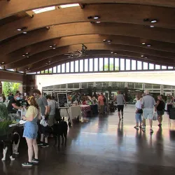 Valparaiso Farmers Market - Valparaiso