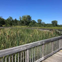 Eagle Marsh Park - Warsaw