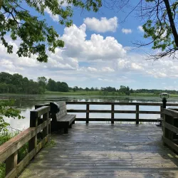 Celery Bog Nature Area - West Lafayette