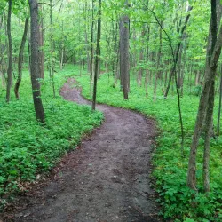 Celery Bog Nature Area - West Lafayette