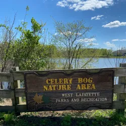 Celery Bog Nature Area - West Lafayette