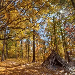 Celery Bog Nature Area - West Lafayette
