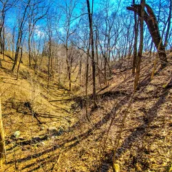 Clegg Memorial Garden - West Lafayette