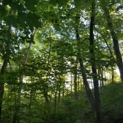 Clegg Memorial Garden - West Lafayette