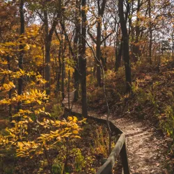 Clegg Memorial Garden - West Lafayette