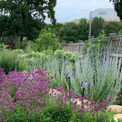 Purdue University Horticulture Gardens - West Lafayette