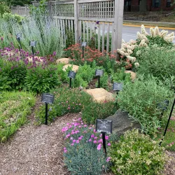 Purdue University Horticulture Gardens - West Lafayette