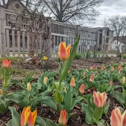 Purdue University Horticulture Gardens - West Lafayette
