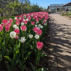 Purdue University Horticulture Gardens - West Lafayette