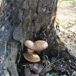 Wabash Heritage Trail - West Lafayette