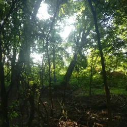 Wabash Heritage Trail - West Lafayette