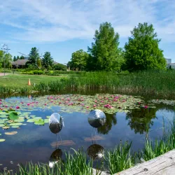 Reiman Gardens - Ames