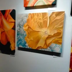 Ankeny Art Center - Ankeny