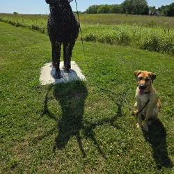 Jester Park - Ankeny