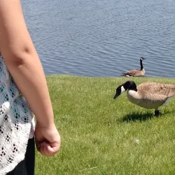 Prairie Ridge Sports Complex - Ankeny