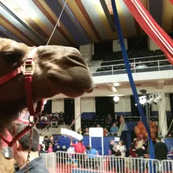 Mississippi Riverfront - Burlington