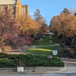 Snake Alley Historic District - Burlington