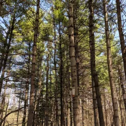 Indian Creek Nature Center - Cedar Rapids