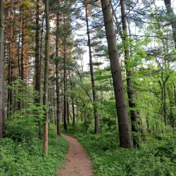 Indian Creek Nature Center - Cedar Rapids