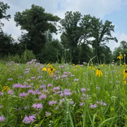 Indian Creek Nature Center - Cedar Rapids