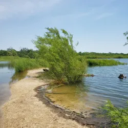 Prairie Park Fishery - Cedar Rapids