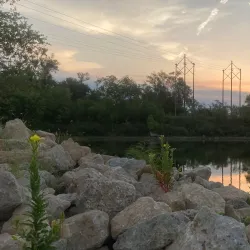 Prairie Park Fishery - Cedar Rapids