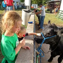 Clarinda Skate Park - Clarinda