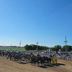 Britt Festival Grounds - Clear Lake