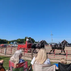 Britt Festival Grounds - Clear Lake