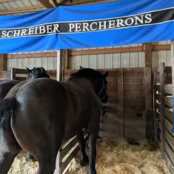 Britt Festival Grounds - Clear Lake