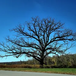 Credit Island Park - Davenport