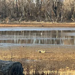 Credit Island Park - Davenport