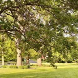 Historic Village at Sand Park - Davenport