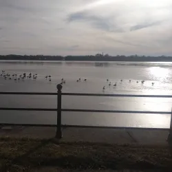 Historic Village at Sand Park - Davenport