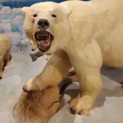 Putnam Museum and Science Center - Davenport